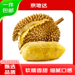 京地达 泰国金枕头榴莲 净重2-2.5斤 1个装鲜果 生鲜水果源头直发