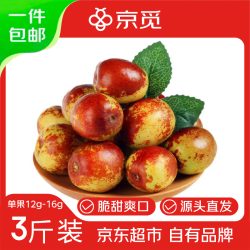 京觅 陕西大荔冬枣 单果12g+ 净重3斤