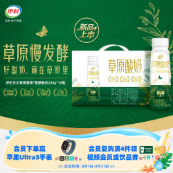 伊利 草原酸奶 巴氏杀菌原味 230g*10瓶