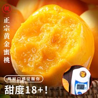 山姆伯伯 山东蒙阴黄桃 6A级甄选果 单果120g+ 5斤装
