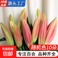 京喜自营-专用品牌 自营 高品质香水百合 10朵+保鲜剂