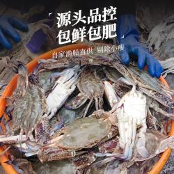 森农乐 冷冻舟山梭子蟹 3-5两/只 3斤（当季船供）