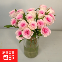 云南基地直发玫瑰鲜花全国速递配女友生日礼物家用水养插京东快递 洛神玫瑰18支+2支(防损)