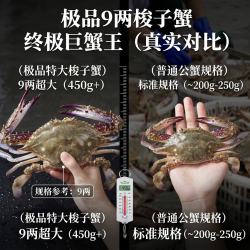 鲜喜利 冷冻鲜活冷冻梭子蟹 9两以上/只 5斤