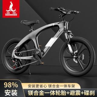 PHOENIX 镁合金儿童自行车山地车 问界变速一体轮+ 灰色+ 镁合金车架 22寸(适合身高145-165cm)