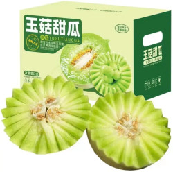 栀舒 山东 玉菇瓜 甜瓜 冰淇淋瓜 4.5斤装 2个左右