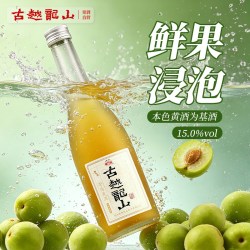 古越龙山 黄酒青梅果酒500ml礼盒无焦糖色女士微醺糯米甜酒梅子酒