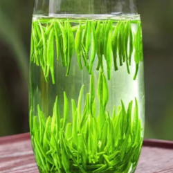 特级雀舌2026新茶贵州湄潭毛尖芽茶明前春茶绿茶叶正品官方旗舰店