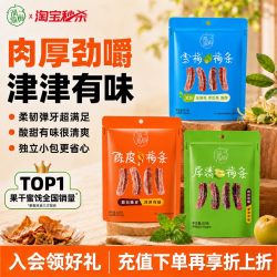 溜溜梅 陈皮厚清梅条无核话梅酸梅子干休闲零食办公室小吃