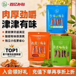 溜溜梅 陈皮厚清雪梅梅条无核话梅酸梅子干办公室休闲零食