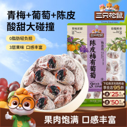 三只松鼠 酸甜 儿童果脯蜜饯