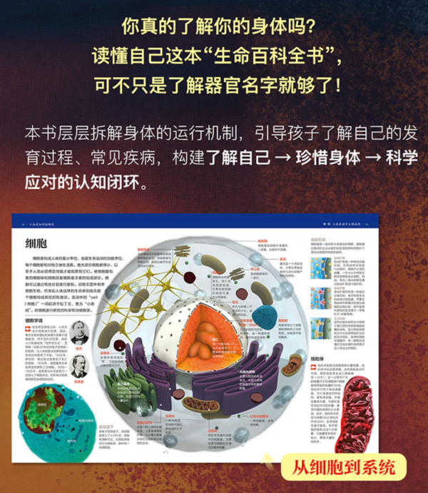 《大英百科全书·图解版 如何运转三部曲》