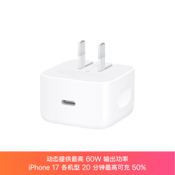 Apple 40W USB-C电源适配器 白色 手机充电器