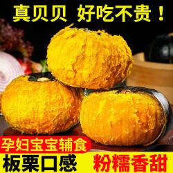 春福乐 贝贝南瓜板栗味贝贝南瓜宝宝婴儿辅食副食新鲜蔬菜 5斤果农优选装净重 4斤
