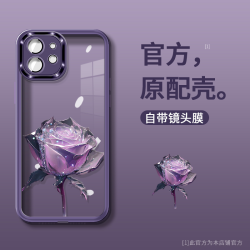 适用苹果11 冰晶玫瑰自带镜头膜透明氛围硅胶防摔壳