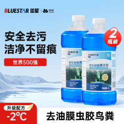蓝星 BLUE普通玻璃水清洁剂2℃ 2L*2瓶