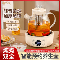 小型煎药煮水恒温家用保温煮茶器多功能泡茶玻璃养生壶烧水大容量