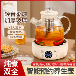 小型煎药煮水恒温家用保温煮茶器多功能泡茶玻璃养生壶烧水大容量