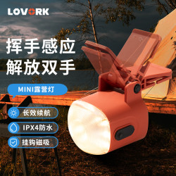 LOVORK 小栗子帽夹灯迷你露营灯感应LED夹帽头灯夜钓手电灯