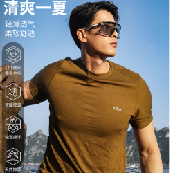[专属D]灰壳美利奴羊毛速干衣登山户外速干t恤男短袖美丽羊毛排汗