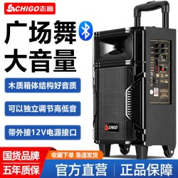 志高 户外拉杆广场舞大音量音响K歌木质蓝牙重低音炮音箱