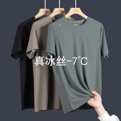 佳宝莉源 奥莱正品冰丝短袖T恤男夏季大码宽松圆领透气休闲运动速干衣男士