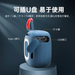 维拉徳 无线音箱蓝牙连接重低音音响迷你插卡便携式小音响高音质防水挂绳