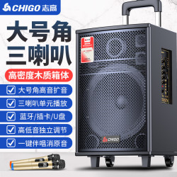 志高 广场舞音响户外演出k歌跳舞移动拉杆蓝牙音箱店铺专用大音量