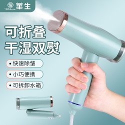 华生 折叠挂烫机手持小型家用蒸汽平烫平熨挂烫挂熨机YL3