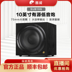 HiVi SUB10G家庭影院低音炮家用超重有源木质箱体