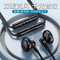 奥西卡 K歌耳机唱歌录歌专用高音质录歌神器主播直播有线麦克风双麦TypeC