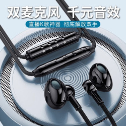 奥西卡 K歌耳机唱歌录歌专用高音质录歌神器主播直播有线麦克风双麦TypeC