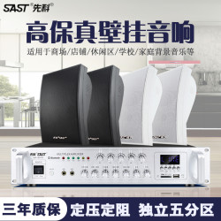 先科 壁挂音响无线蓝牙超市餐厅挂壁式商用饭店店铺音响蓝牙音箱
