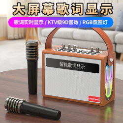 长城葡萄酒 4长城X9蓝牙音响直播声卡一体机重低音带歌词显示无线户外K歌音响