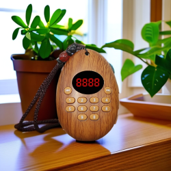 家用蓝牙插卡660 新款迷你便携充电音乐机音箱复古小型音响播放器