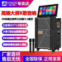 曼龙 功放广场舞音响唱歌带蓝牙K歌新款机大功率K歌机户外便携音箱