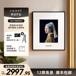 Anmut S2艺术歌词音响壁画蓝牙音箱hifi智能无线家用装修送礼