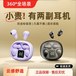 无线蓝牙耳机2025新款入耳二合一双耳机超长续航真降噪