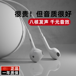 BN 原装正品有线耳机适用S15/X80/pro高音质typec接口专用