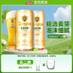 青岛啤酒 全麦白啤 500ml*12听