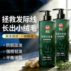 霸王 侧柏叶防脱育发洗发水