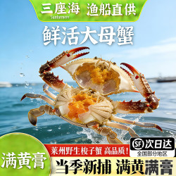 三蟹岛 莱州湾梭子蟹集合 鲜活母蟹满黄2斤5-6只