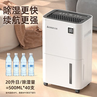 志高 除湿机/抽湿机 轻音室内除湿净化一体机防潮地下室干燥机 20L/天 40-70㎡ 智能除湿+负离子