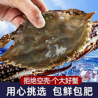 山姆 舟山梭子蟹 鲜活海鲜水产 3斤(5-7两/只)