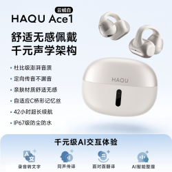 哈趣 Ace1蓝牙耳夹式耳机 运动防汗超轻长续航 AI翻译