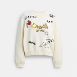 COACH 女款SKETCH印花圆领套头长袖针织衫毛衣