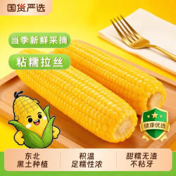 开源保丰 东北黄甜糯玉米棒10支真空包装低脂黄糯甜粒粒软糯糯香粗粮代餐