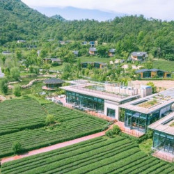 莫干山开元森泊度假乐园 隐竹里画廊复式双卧别墅1晚