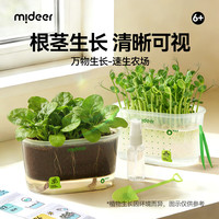 弥鹿 儿童植物速生农场种植盆栽生长观察盒土培水培科学玩具六一节礼物 速生农场-水培版
