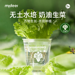 弥鹿 儿童水培植物观察阳光房种植菜科学手工小实验万物生长-水培生菜 万物生长-水培生菜
